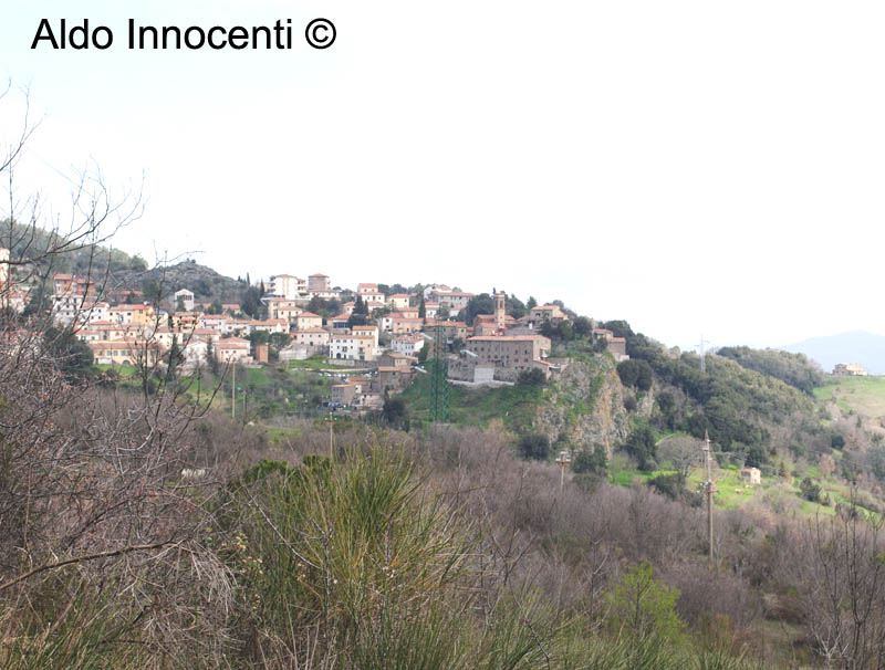 MONTECERBOLI: PANORAMA 3' IMMAGINE